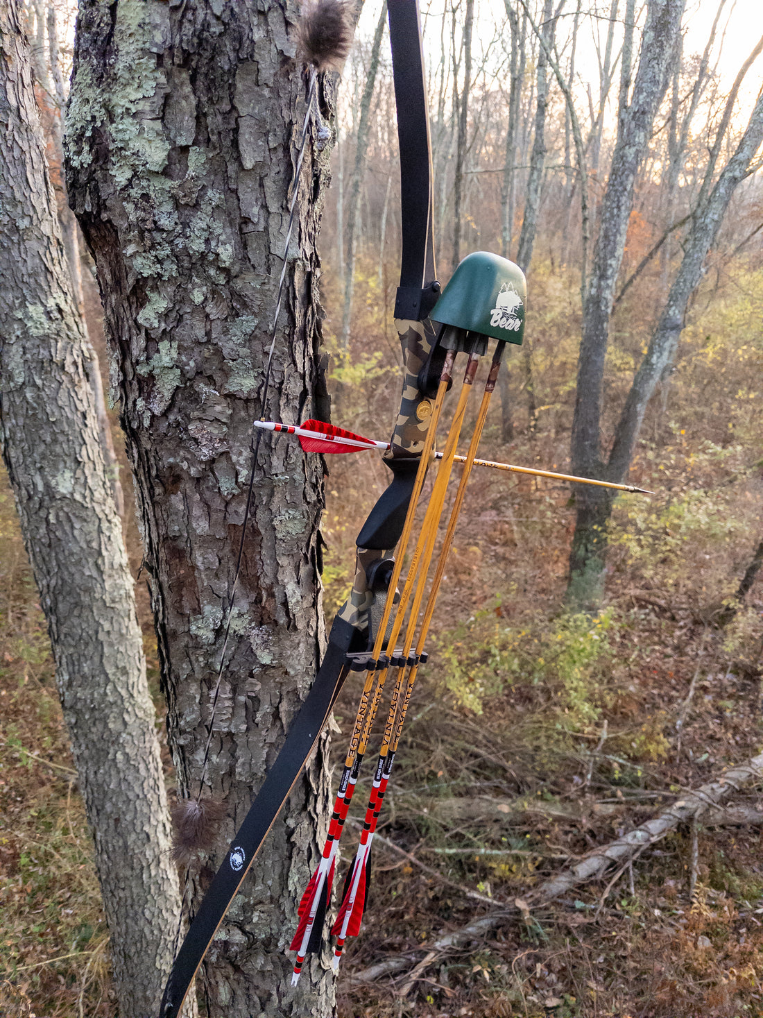 Laurel Mountain Outfitters Pennsylvania based Archery and Hunting gear