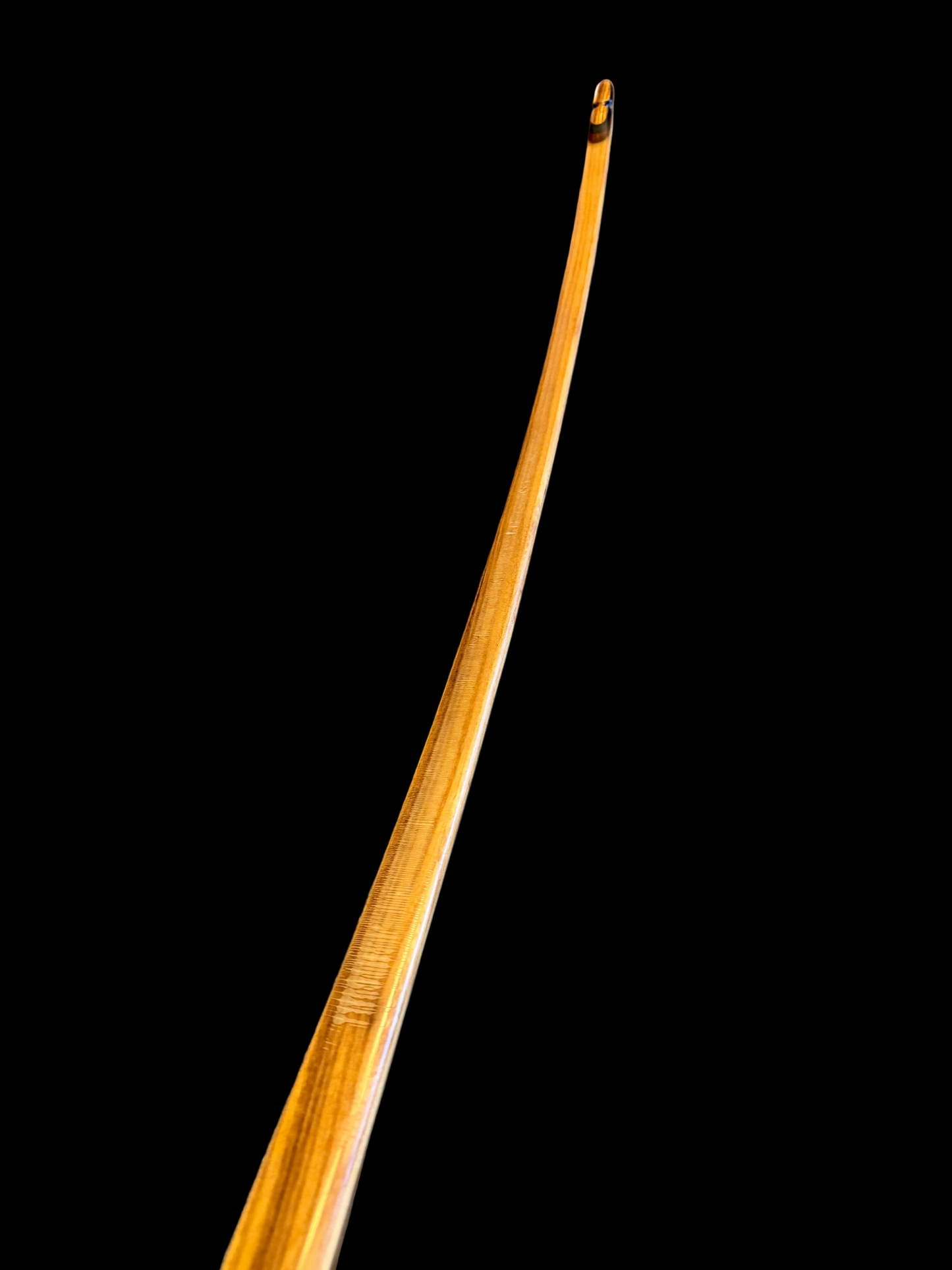 Saxon American Longbow