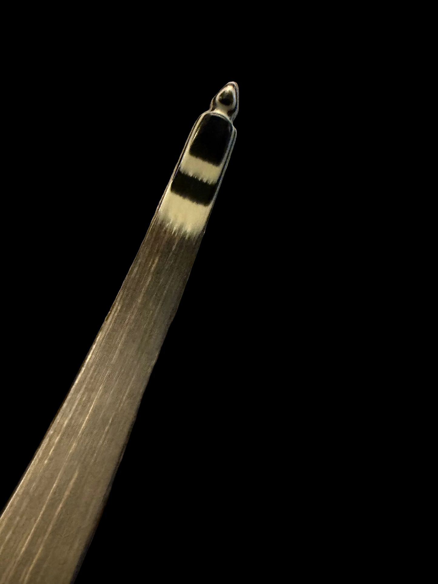 Fedora 560 Hunter Recurve