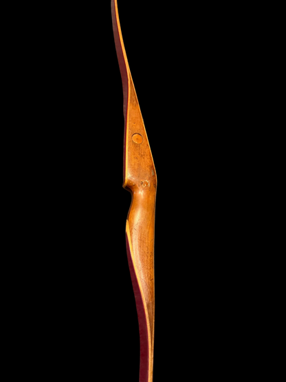 Bear Polar Recurve 42#