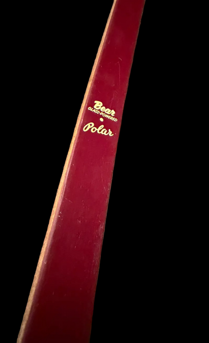 Bear Polar Recurve 42#