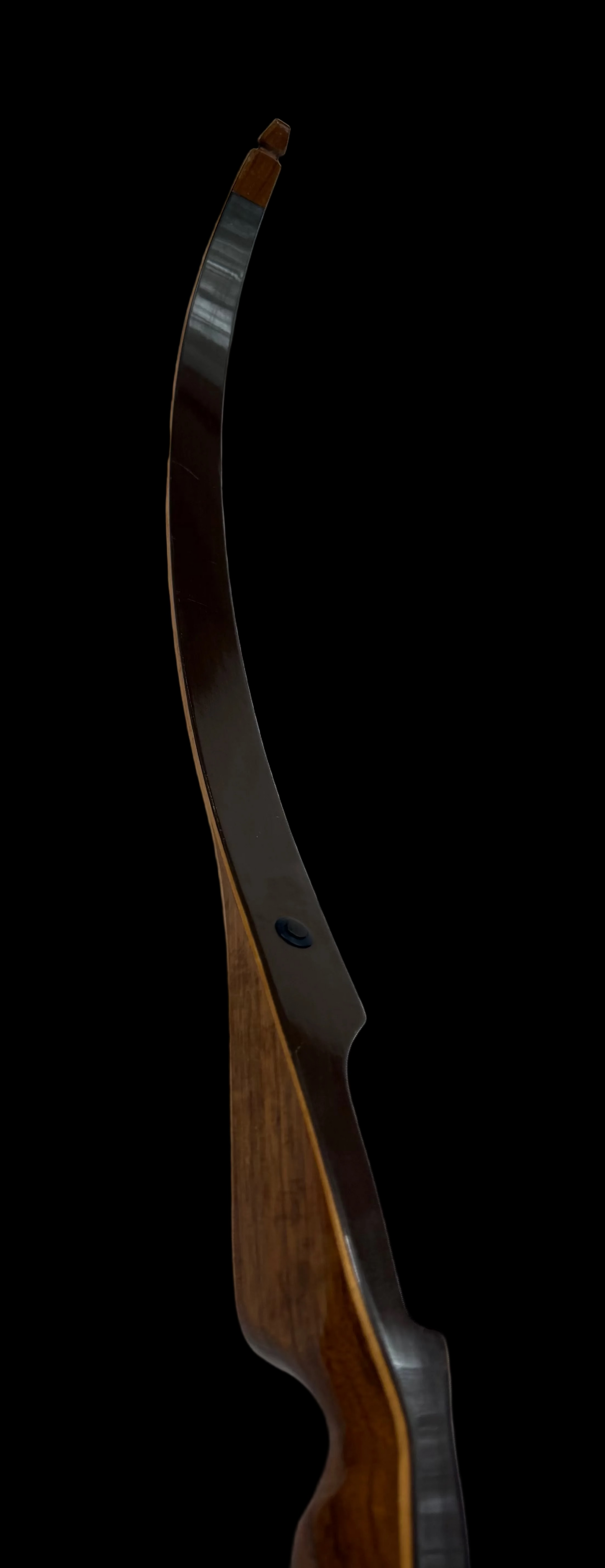 Lion Hunter - Feline Archery