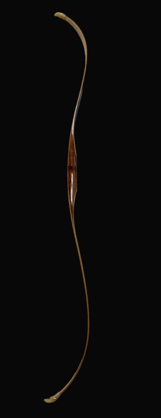 Black Hawk Wasp