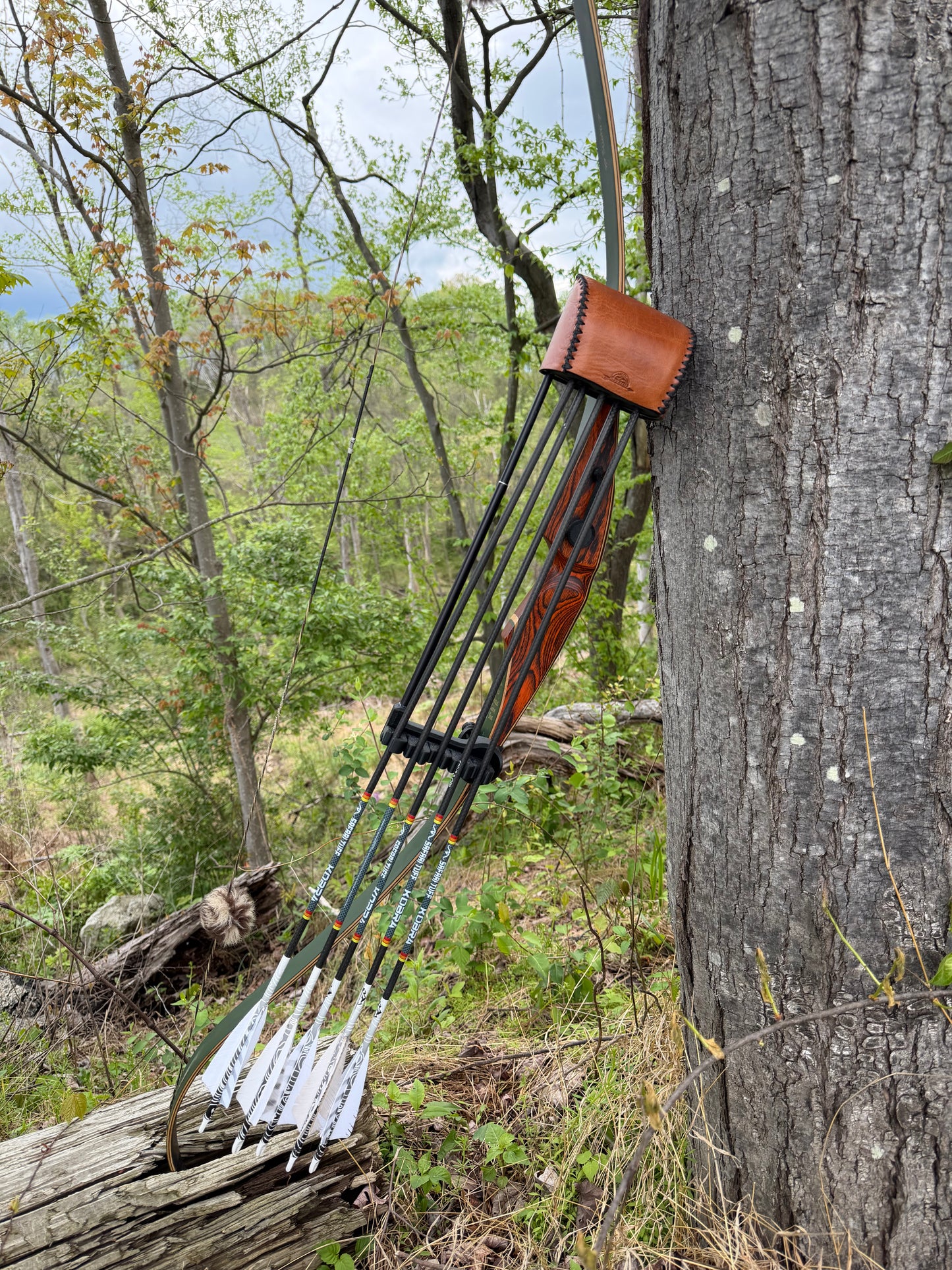 Quiver of the Week
