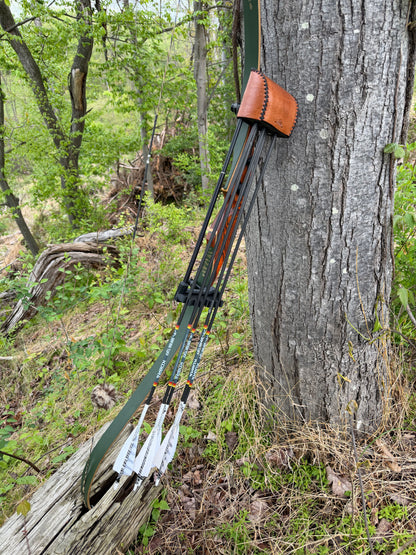 Quiver of the Week