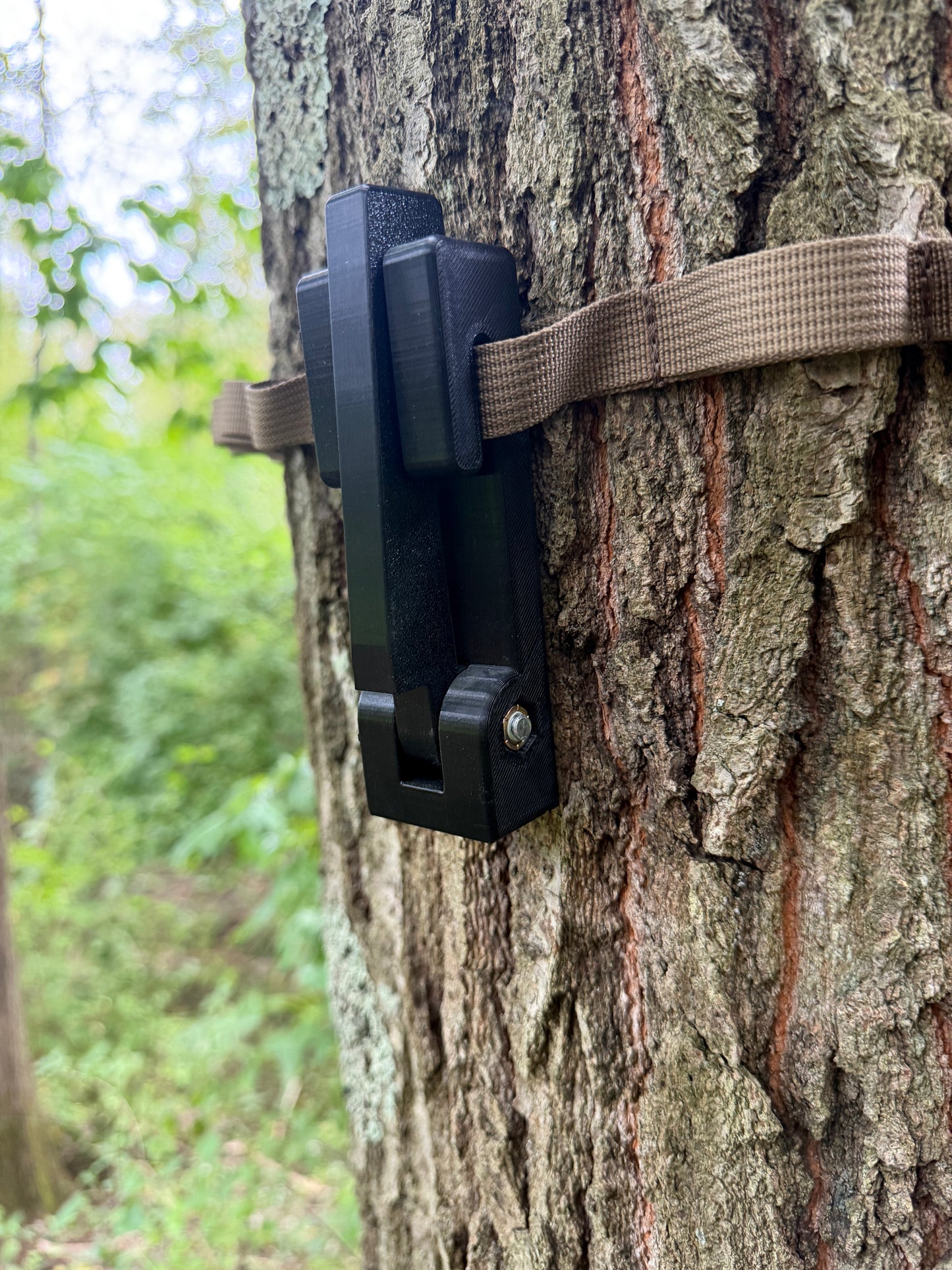Bow & Gear Hanger