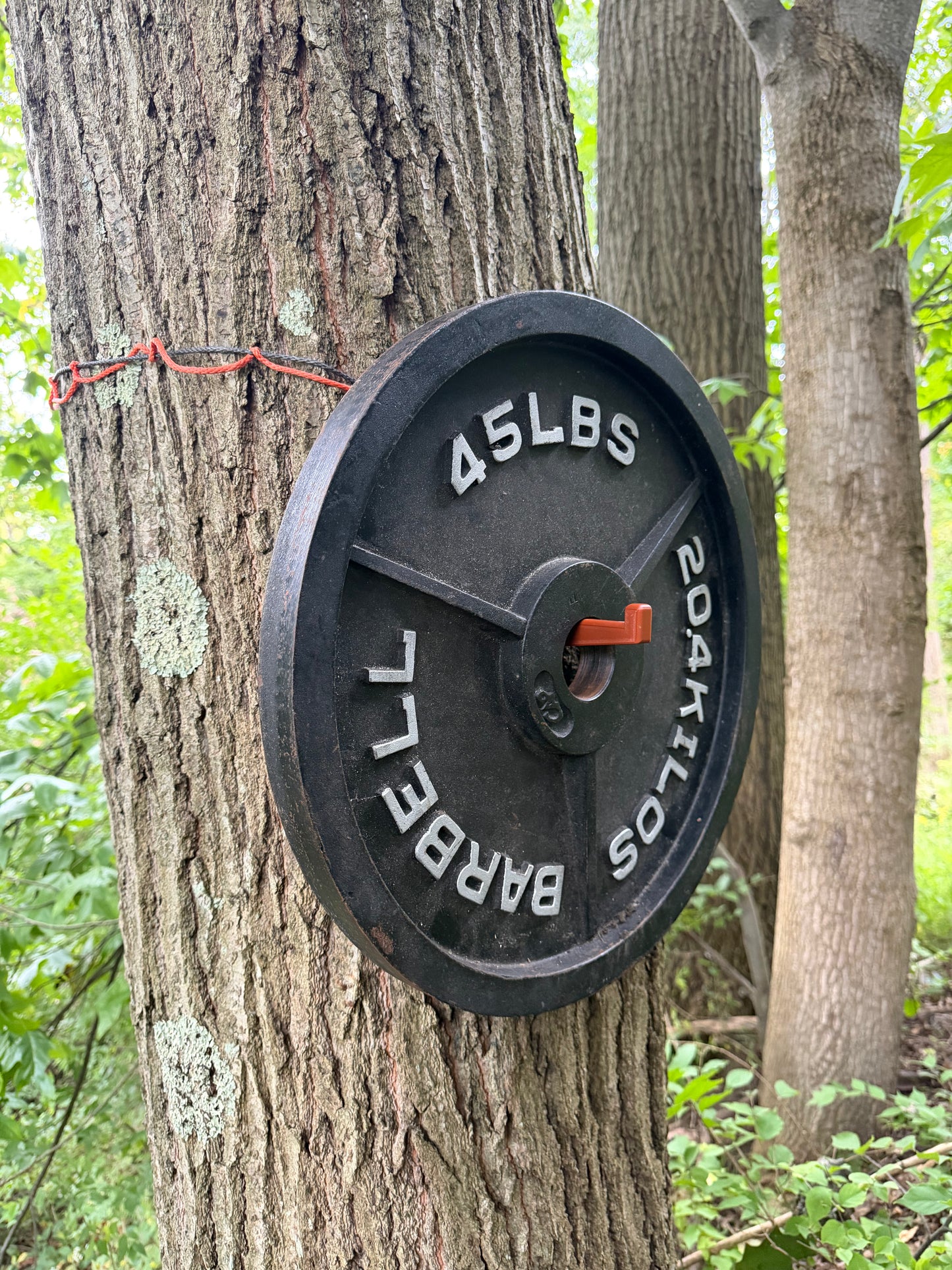 Bow & Gear Hanger