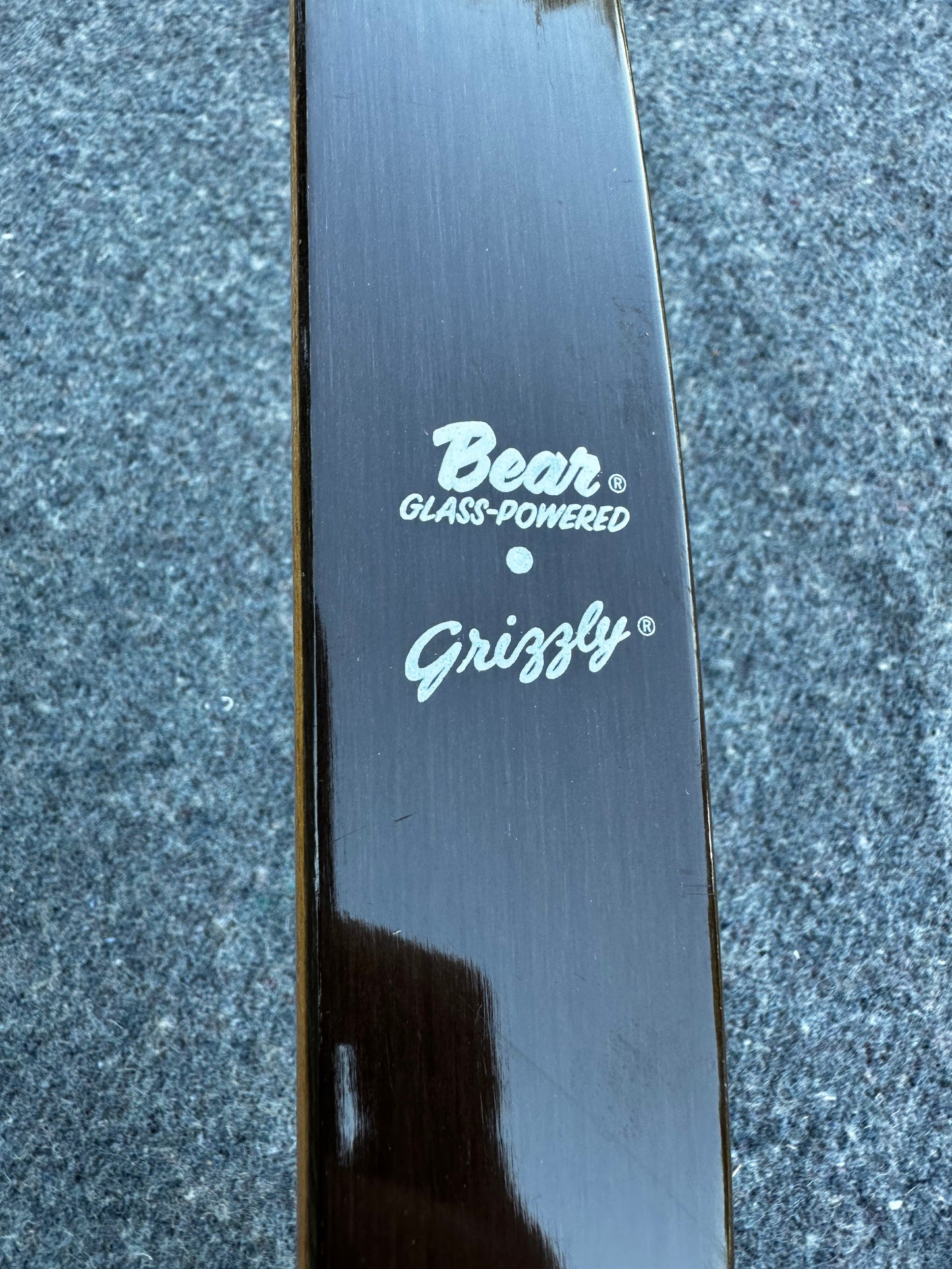 Bear Grizzly