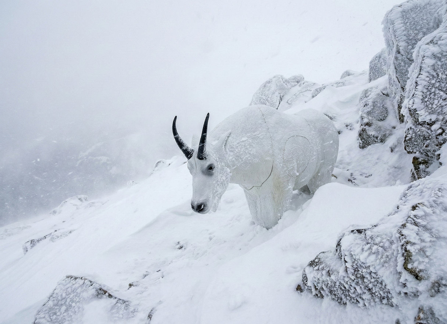 Real Wild 3D Mountain Goat Foam Archery Target